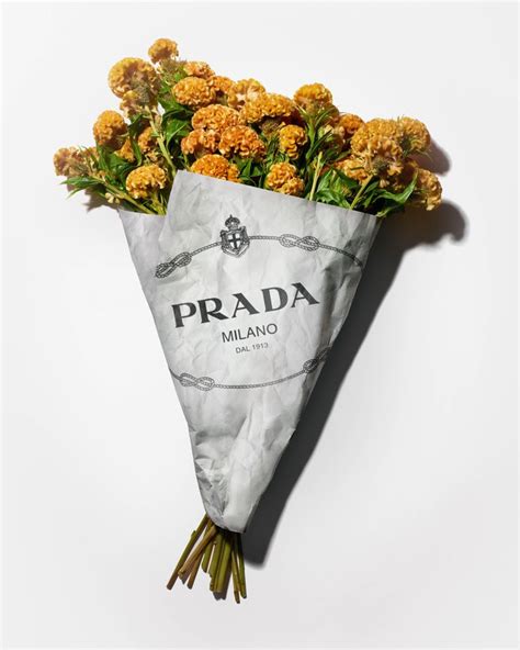 prada flower locations|prada floral designs.